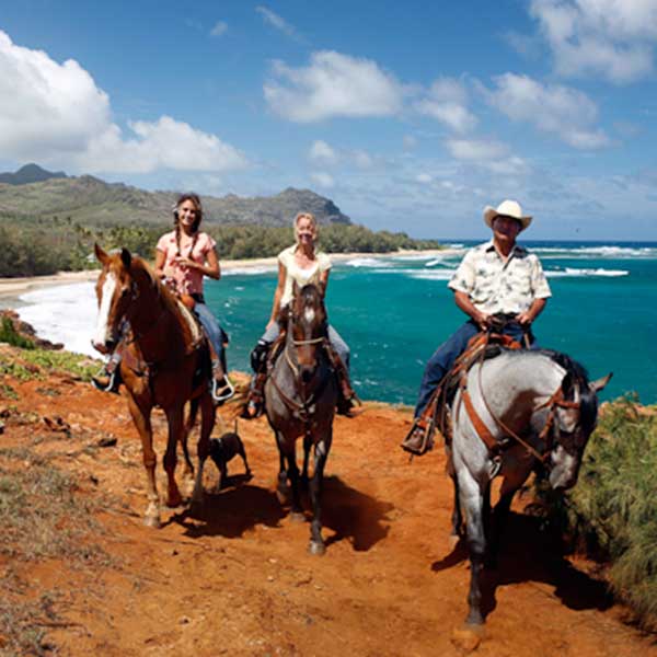 CJM Country Stables